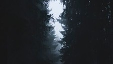 Landscape nature trees forest mist Custom Gaming Mat Desk