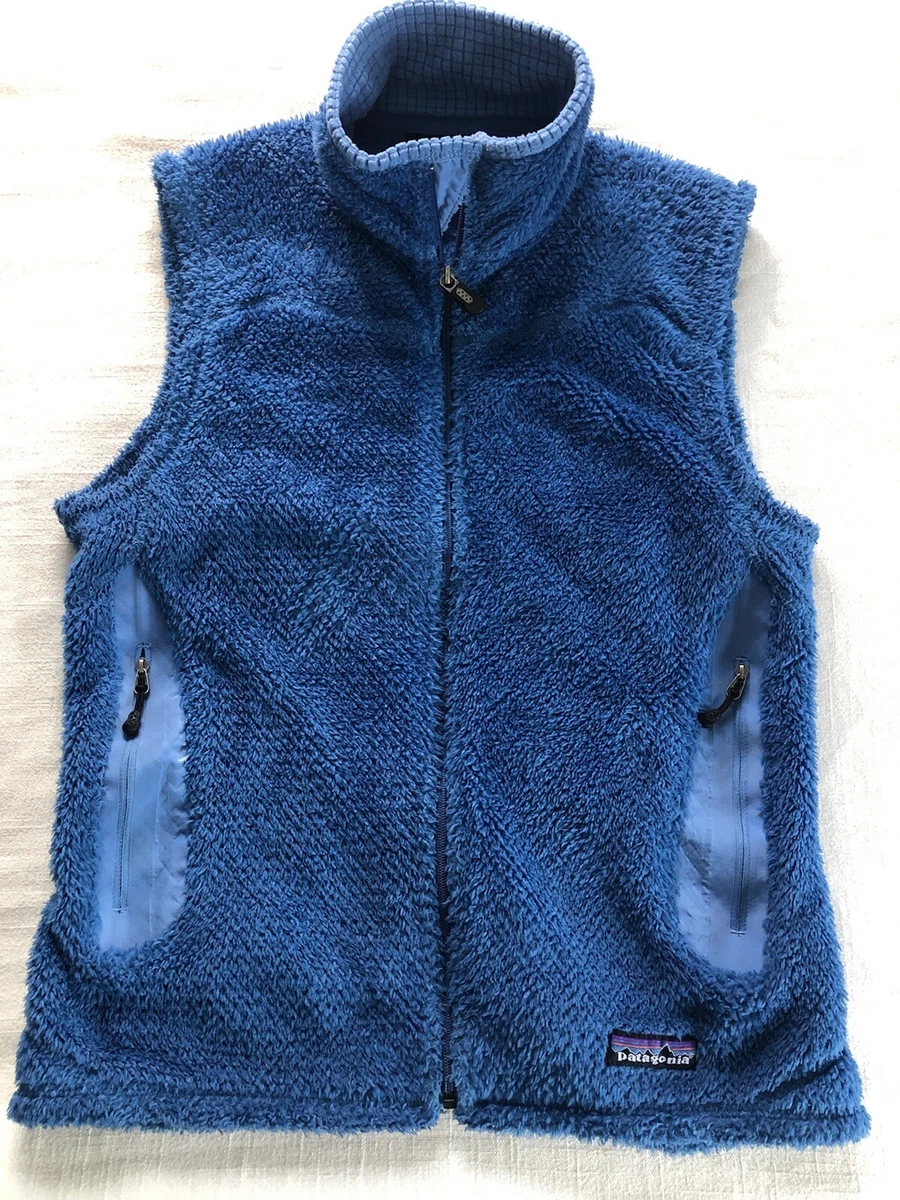 Patagonia r2 hotsell fleece vest