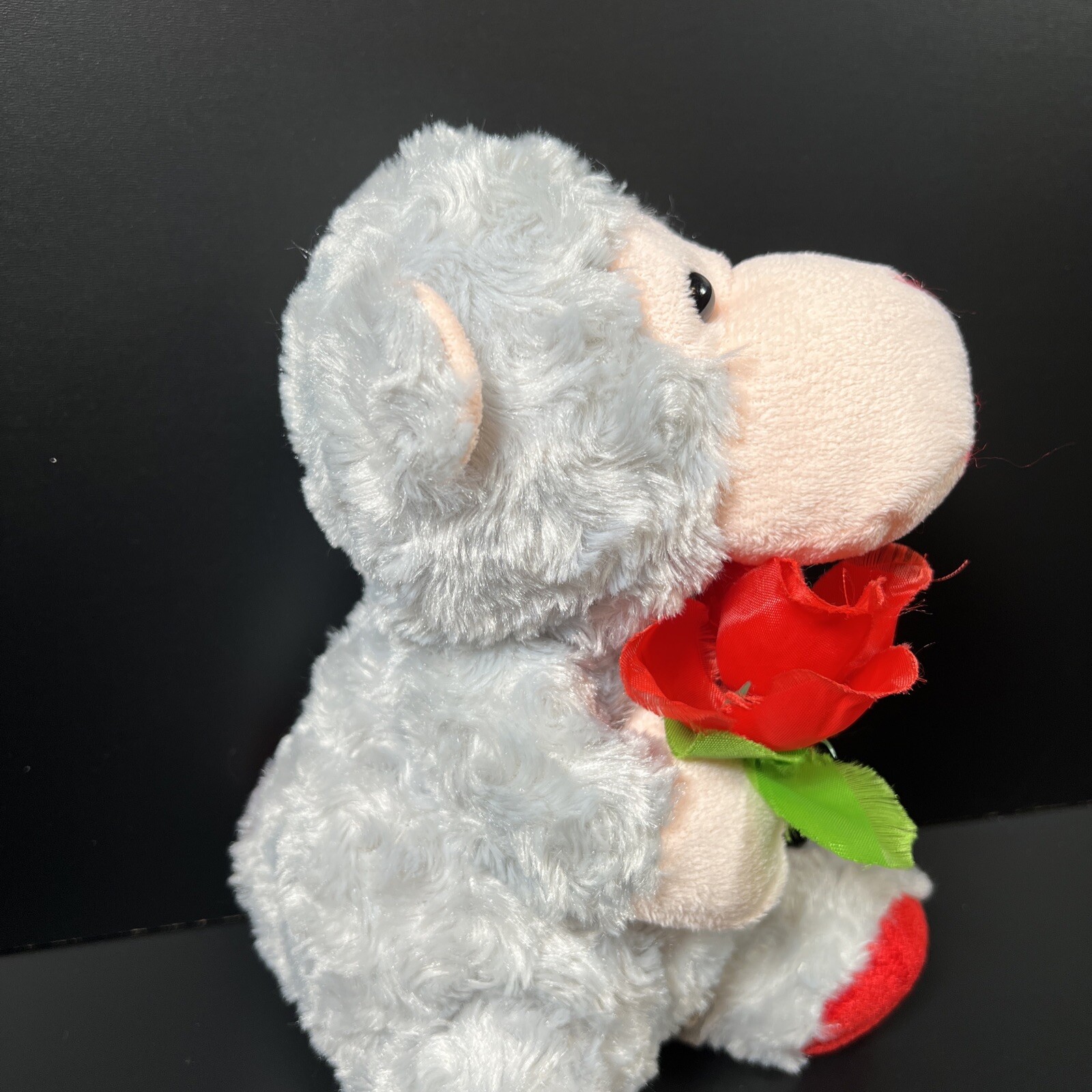 Bild 5 von 5