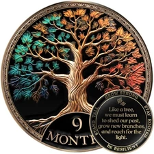 Sobriety Coin Gift Set 9 Month Tree of Life AA Chip with Capsule Stand and Card