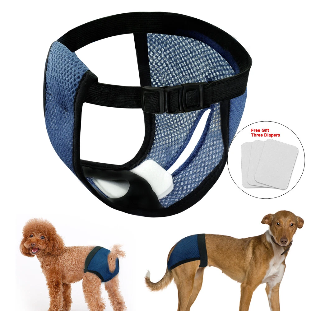 Dog nappies outlet
