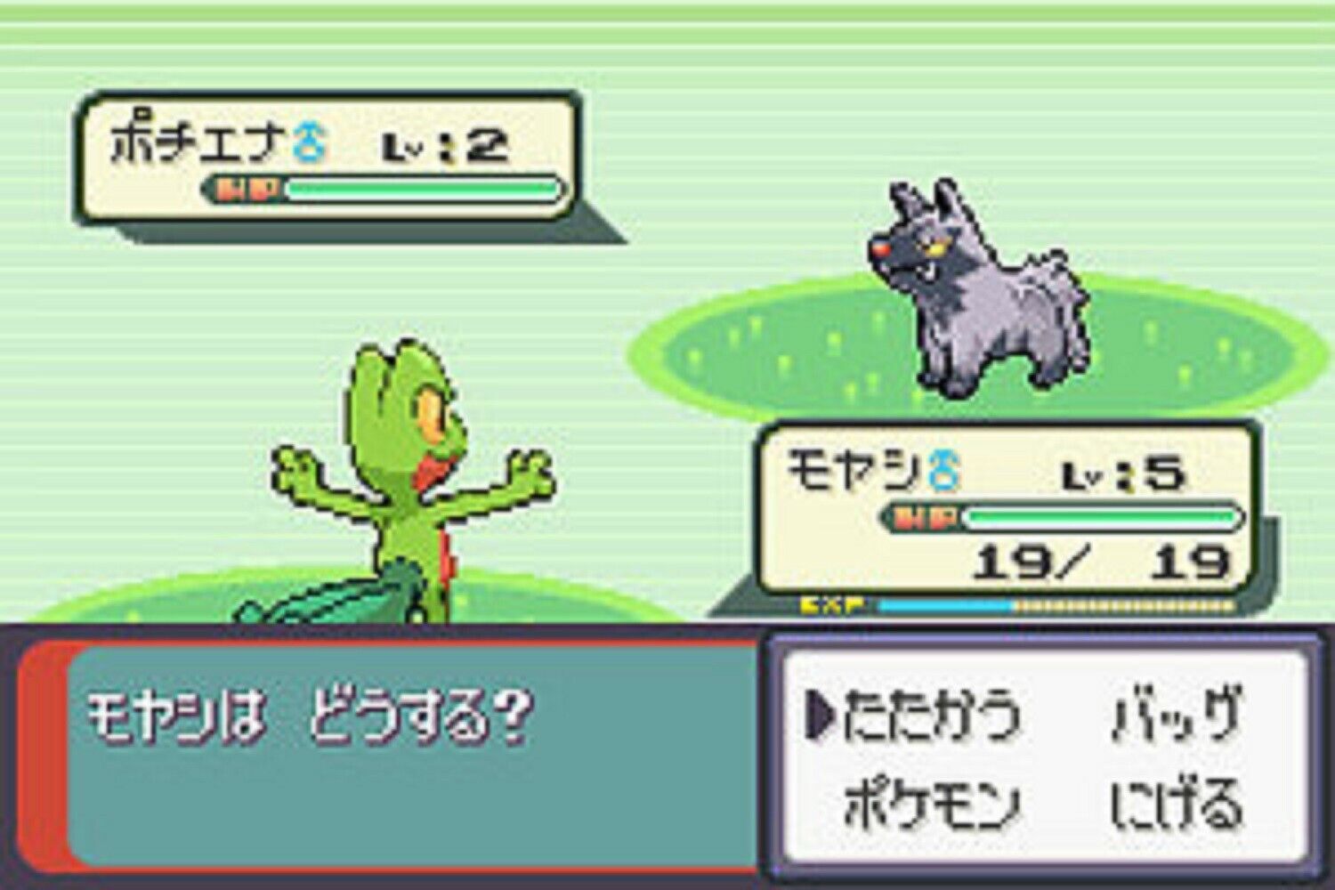 Pokemon Emerald Version Game Boy Gameplay_2004_09_17_2 - IGN