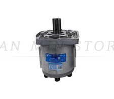 1PC New CBN-F532-BFHL gear pump Fast delivery