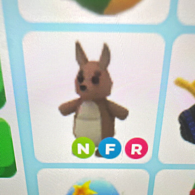 Adopt Me NFR Neon Fly Ride Pet Lot: Kangaroo, Bee, Unicorn, Turtle, $20 each