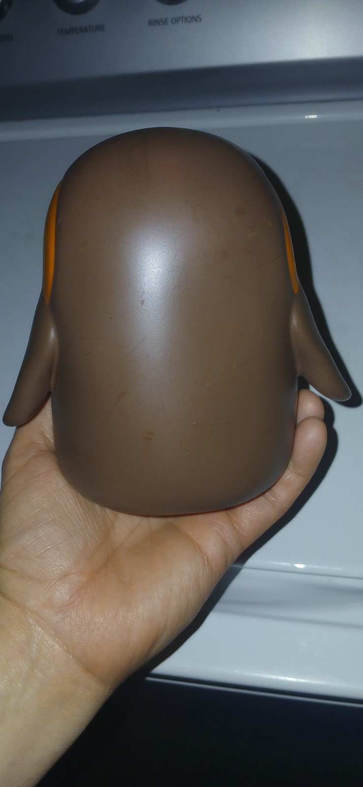 Foto 2 di 7