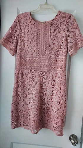VETEMENTS Abito Lei+ Rosa Cielo Pizzo Grande Cappuccio Manica Foderato Zip Civetta Fata Rosa Polveroso