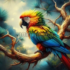 Digital Image Picture Photo Wallpaper Background Desktop Art Parrot Bird #A287