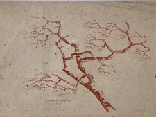 Gravure Jean-François Janinet d'après Jean-Philippe Sarrazin manière crayon