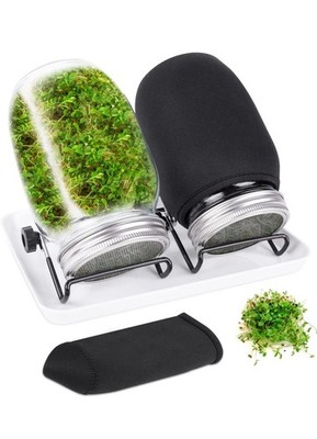 Seed Sprouting Jar Kit with 2 Wide Mouth Mason Jars Bean Sprouts Growing Kit Mic