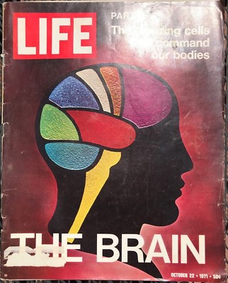 LIFE MAGAZINE Oct 22 1971 * The Brain Part II * Safety Closures * Abbie Hoffman 