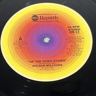 Wilson Williams 『Up The Downstairs 』 Wilson Williams : Up The Downstairs (LP, Vinyl record album