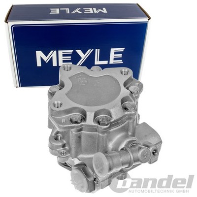 MEYLE SERVOPUMPE passend für AUDI A6 | 114 631 0020