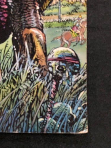 BARRY WINDSOR SMITH STORYTELLER #1 1996 40 PAGES FN - Picture 7 of 8