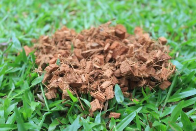 coconut husk chips * extra dry