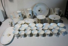 ROSENTHAL Form 2000 Schattenrose Kaffeeservice 71 Teile (H441-1001-1-R37)