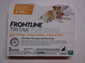 large rabbit carrier