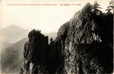 CPA AK The Roost oe Hawk in Omine Mt. Yamato Alps JAPAN (725395)