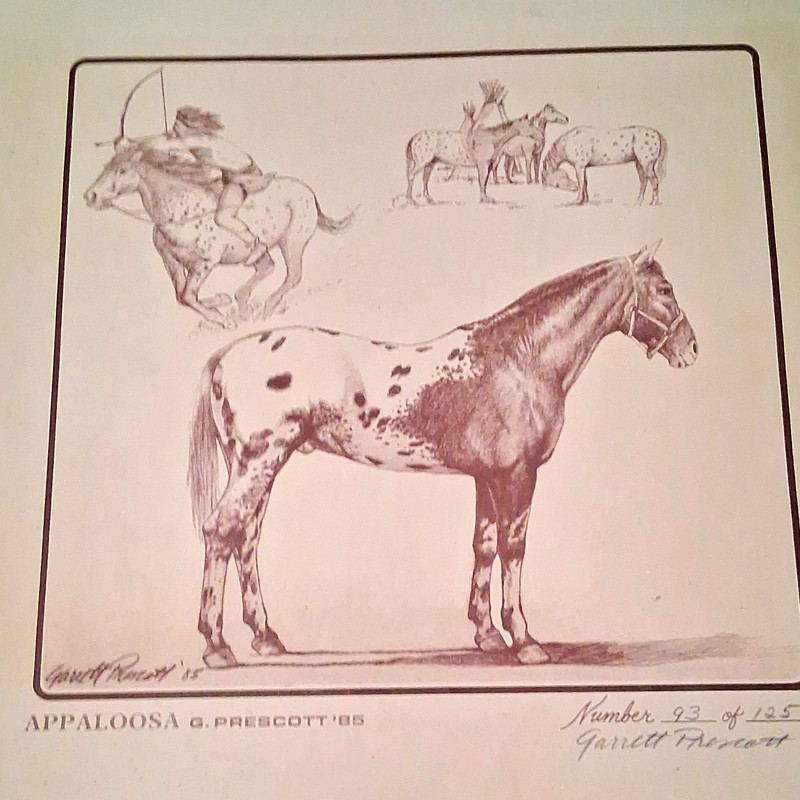Garrett Prescott Signed "Appaloosa" 1985 Horse Realism Print Paper Unframed