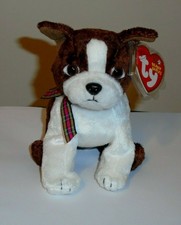 sport beanie baby value