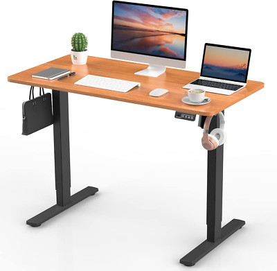 43'' Electric Ergonomic Height Adjustable Standing Desk Home Office Table Wooden