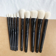 Wayne Goss 10 pcs Makeup Brush Set