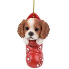 ✿ New Pacific Giftware Ornament King Charles Spaniel Dog Christmas Stocking Sock