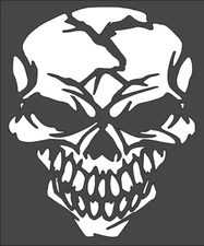 1- 5x6 inch Stencil, (VF-45) Scary Skull (6mil)*****
