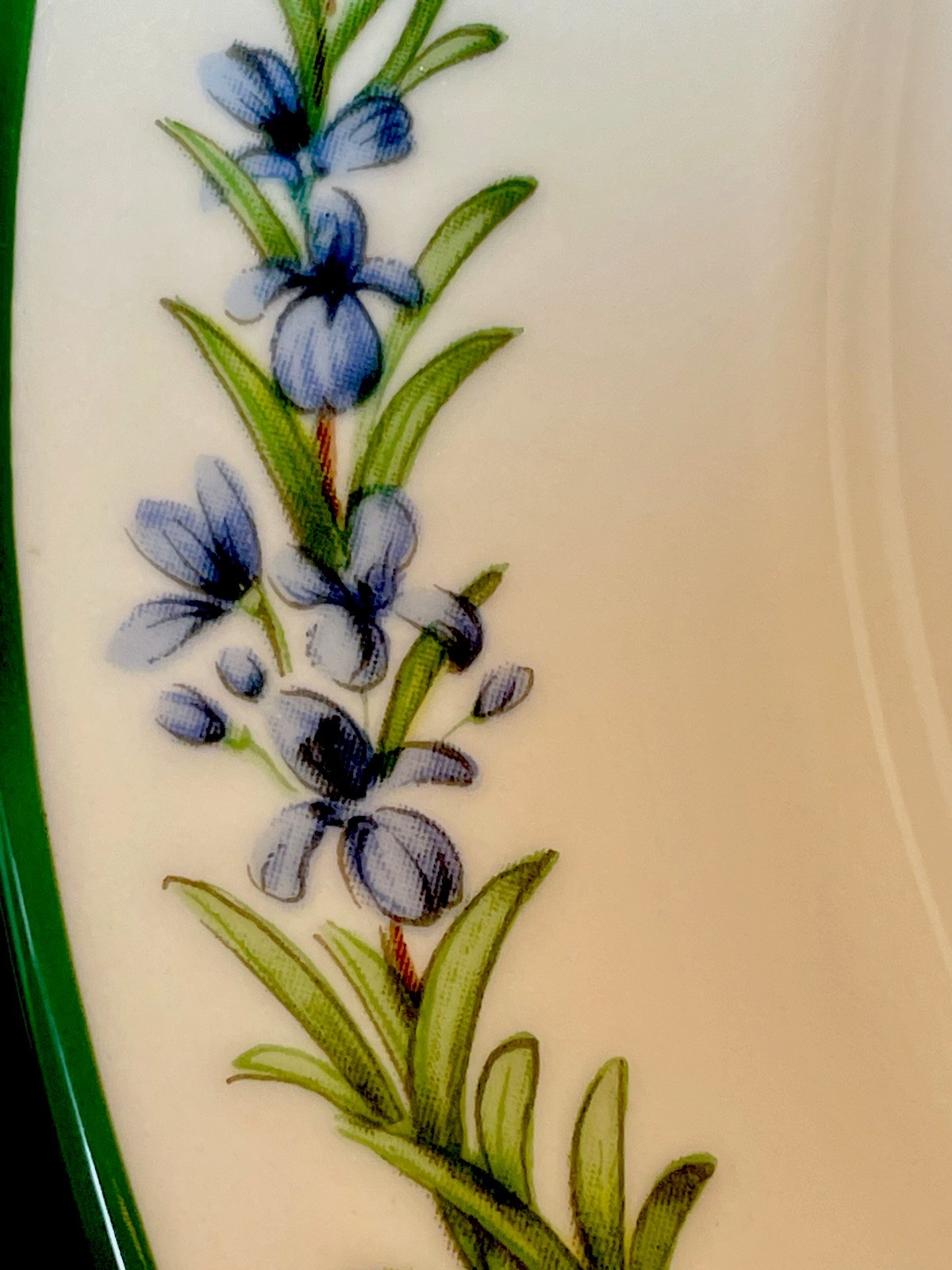 Vintage Royal Worcester Herbs Salad Dessert Plate Sage Green Rim ~ MINT Set Of 4