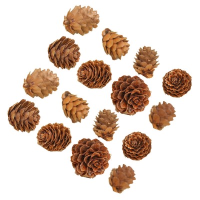  100 Pcs Kiefernblumendekorationen Tannenzapfen Masse Christmas Pine Cone