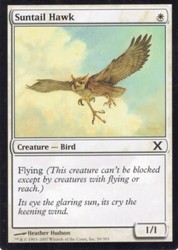 Suntail Hawk 50/383 10th Edition