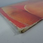 Picture 9 of 9
