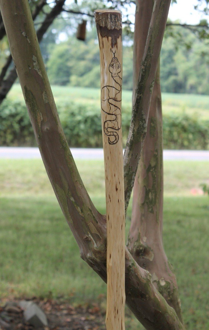 Walking Stick Hiking Stick Handmade Sweet Gum Wood Staff 59.5” Trekking Pole,Art