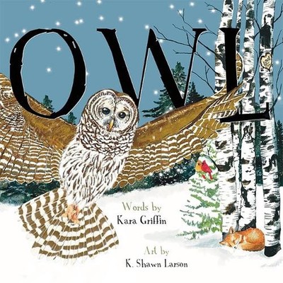 Owl (Pb) by Kara Griffin Paperback Book