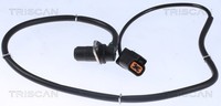 ABS Sensor Raddrehzahl Triscan 8180 42109 FüR Mitsubishi Pajero 4 Van 4WD V83W