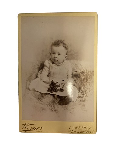 Antico armadio card vittoriano bambino pelle d'orso tappeto Wesner Studio Fred Armisen - Foto 1 di 7