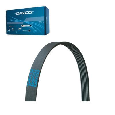Dayco Serpentine Belt Fan and Alternator For 2015 Freightliner XB Straight Rail