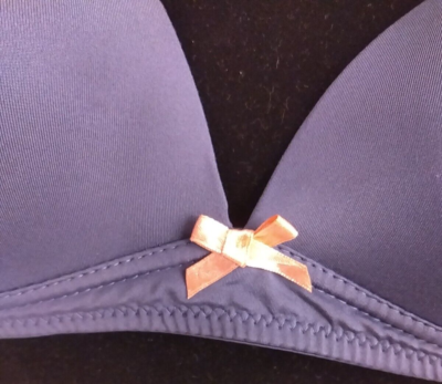 Secret Possessions RN 145478 Gray Wireless T Shirt Bra Size 32 B