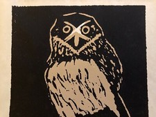 Enotrio, Gufo. Linoleografia tiratura personale 1983