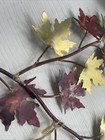 Vedar Gurta Metal Artistry Maple Leaf Wall Sculpture — photo 10