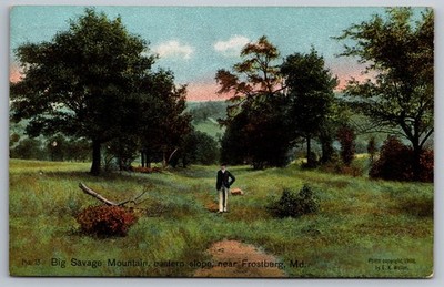 1908 Big Savage Mountain Eastern Slope Frostburg MD Postcard E.K. Weller