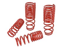 Skunk2 For Lowering Springs - 1990-1997 Honda Accord Skunk2 For Lowering Springs - 1990-1997 Honda Accord