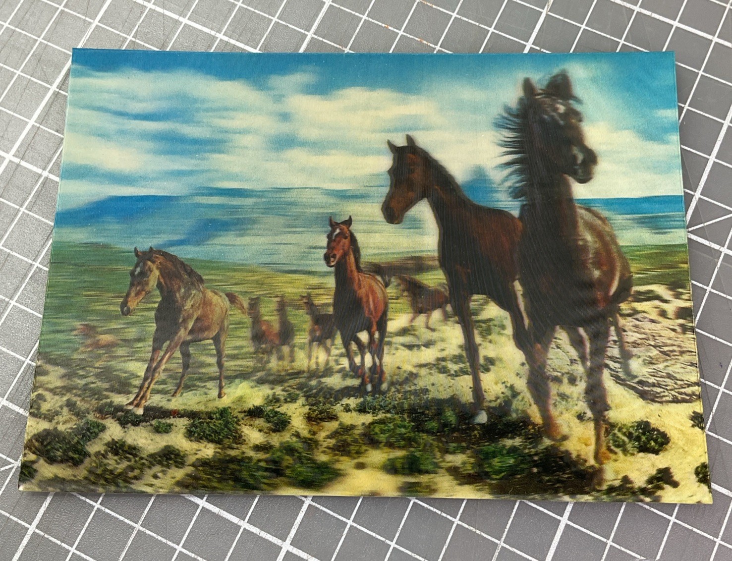 Vintage ASAHI Wonder Co. Tokyo 3D Picture Horses 5"x4” TAPPAN