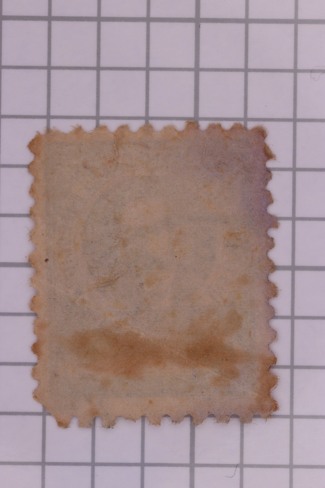 Picture 2