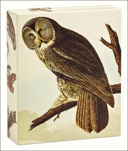 Быстрые заметки Джона Джеймса Одюбона Audubon Owls (открытки) QuickNotes (ИМПОРТ ИЗ Великобритании)