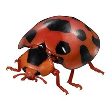 Figura de acción Bandai Gashapon Lady Beetle 02 AVANCE Ladybug Synonycha grandis