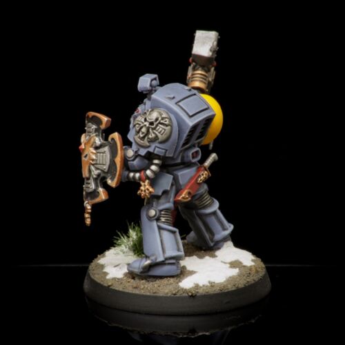 Pro Painted Warhammer 40k Space Wolves Terminator - Picture 3 of 6
