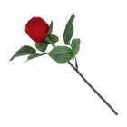 Bild 4 von 22