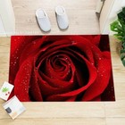 Flower Rose Doormats Beautiful Red Plants Doormat Inside For Living Room Carpet