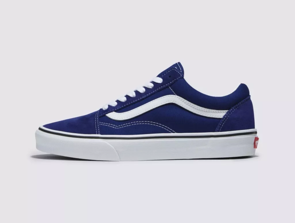 Mens blue best sale vans