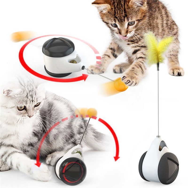 Interactive Cat Tumbler Swing Toy with Catnip – Fun Chasing Balance Car for Pets
